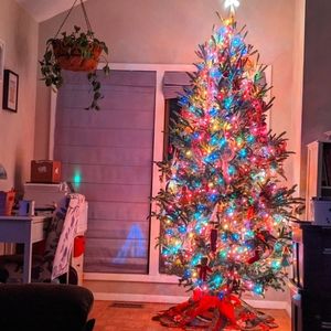 CHRISTMAS SALE! SHOP CLOSING!